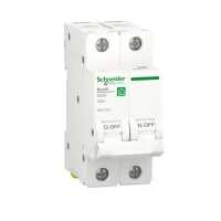 Автоматичний вимикач Schneider Electric Resi9 25A 2P  тип C (R9F12225)